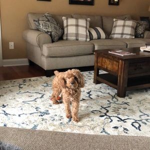 Meet your Posher, Carrie